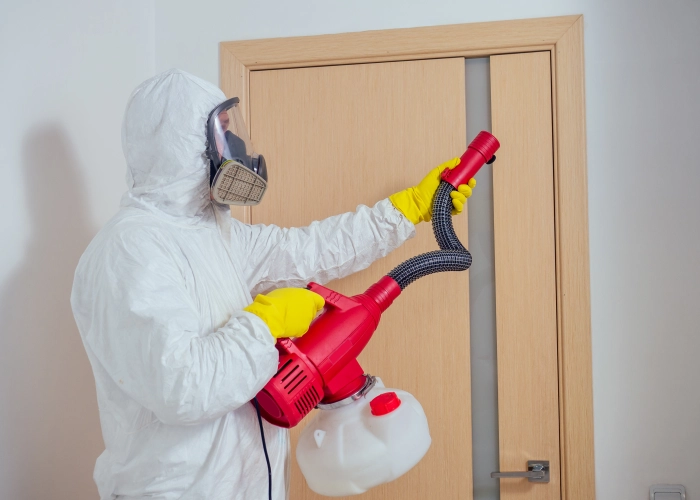 Trattamento contro le cimici dei letti a Bologna 40100